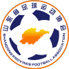 shandong U20 logo