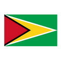 U20 Nữ Guyana logo