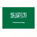 Saudi Arabia U17 logo