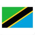 Tanzania Nữ logo