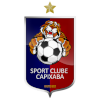 SC Brasil Capixaba logo